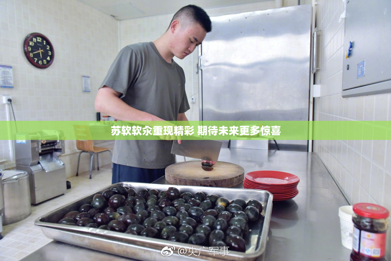 苏软软汆重现精彩 期待未来更多惊喜