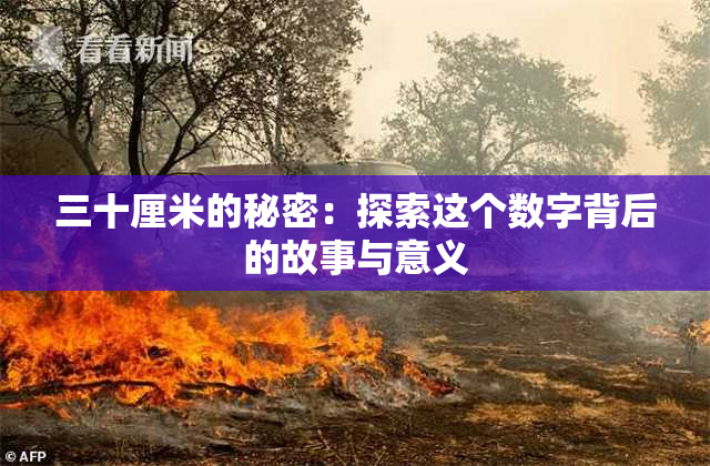 三十厘米的秘密：探索这个数字背后的故事与意义