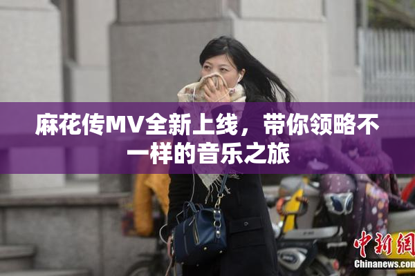 麻花传MV全新上线，带你领略不一样的音乐之旅