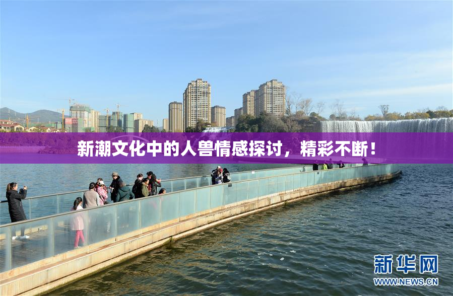新潮文化中的人兽情感探讨，精彩不断！