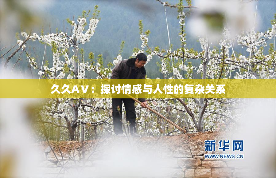 久久AⅤ：探讨情感与人性的复杂关系