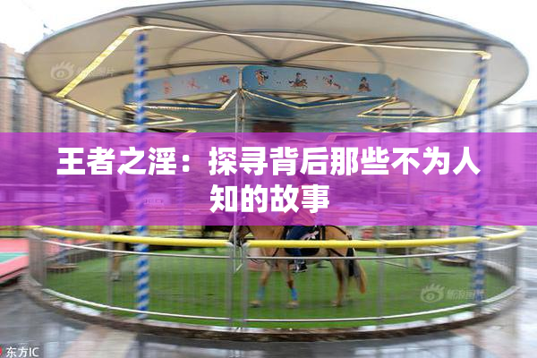王者之淫：探寻背后那些不为人知的故事