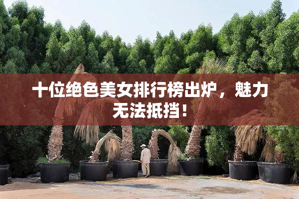 十位绝色美女排行榜出炉，魅力无法抵挡！