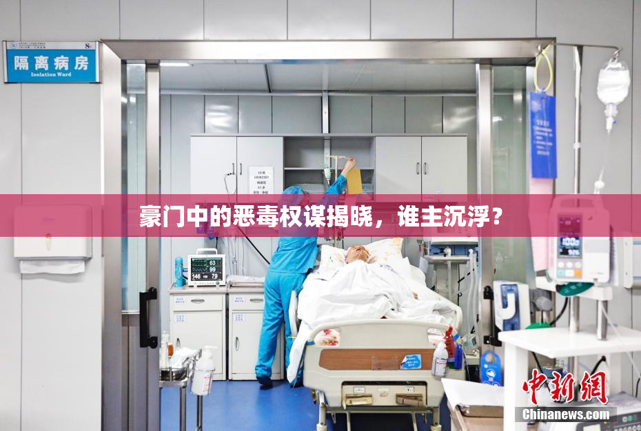 豪门中的恶毒权谋揭晓，谁主沉浮？