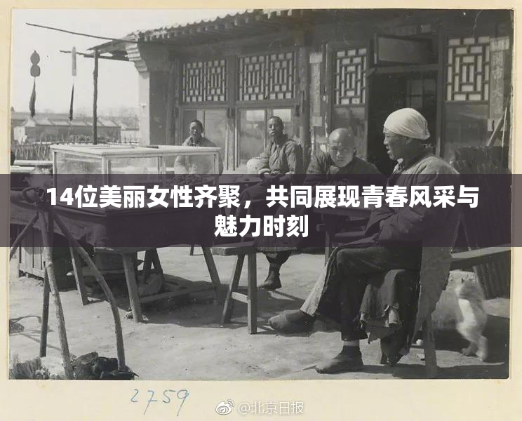 14位美丽女性齐聚，共同展现青春风采与魅力时刻