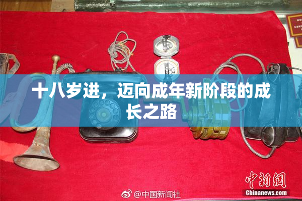 十八岁进，迈向成年新阶段的成长之路