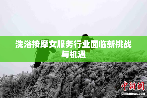 洗浴按摩女服务行业面临新挑战与机遇