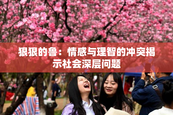 狠狠的鲁：情感与理智的冲突揭示社会深层问题