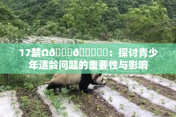 17禁Ω🍑🔞❌‌：探讨青少年适龄问题的重要性与影响