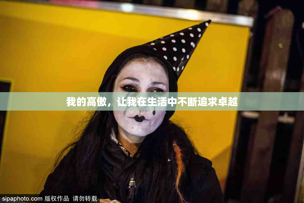 我的高傲，让我在生活中不断追求卓越