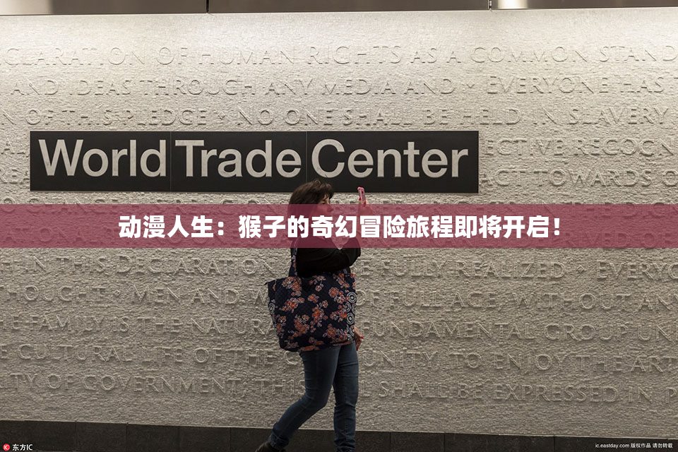 动漫人生：猴子的奇幻冒险旅程即将开启！