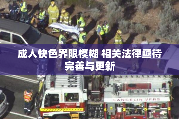 成人快色界限模糊 相关法律亟待完善与更新