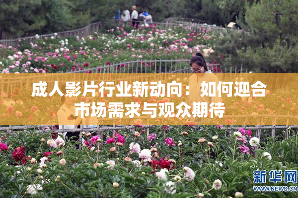成人影片行业新动向：如何迎合市场需求与观众期待