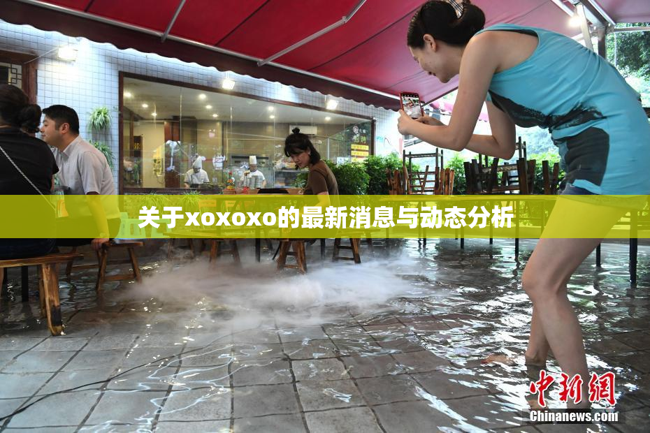 关于xoxoxo的最新消息与动态分析