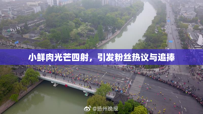 小鲜肉光芒四射，引发粉丝热议与追捧