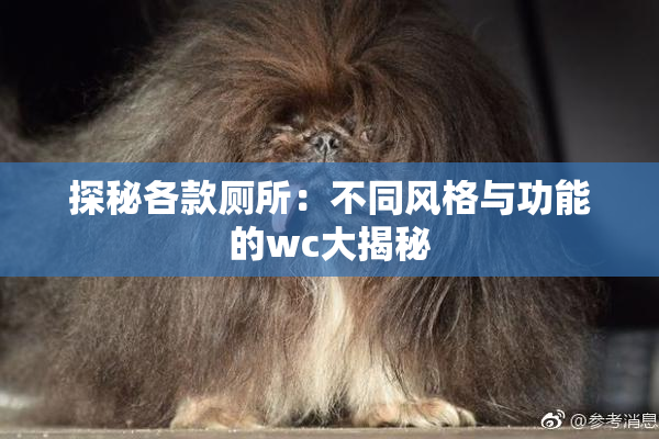 探秘各款厕所：不同风格与功能的wc大揭秘