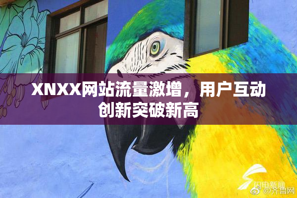 XNXX网站流量激增，用户互动创新突破新高