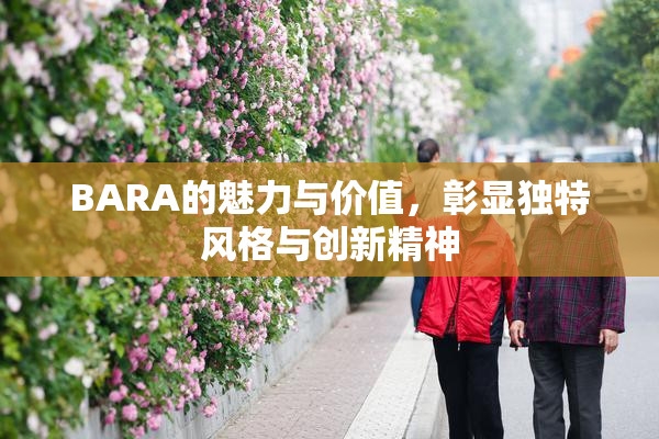 BARA的魅力与价值，彰显独特风格与创新精神