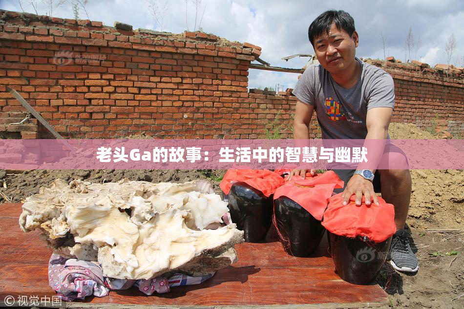 老头Ga的故事：生活中的智慧与幽默