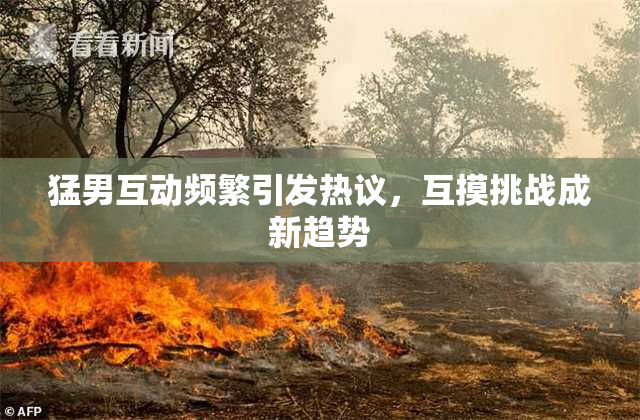 猛男互动频繁引发热议，互摸挑战成新趋势