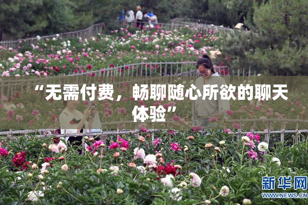 “无需付费，畅聊随心所欲的聊天体验”