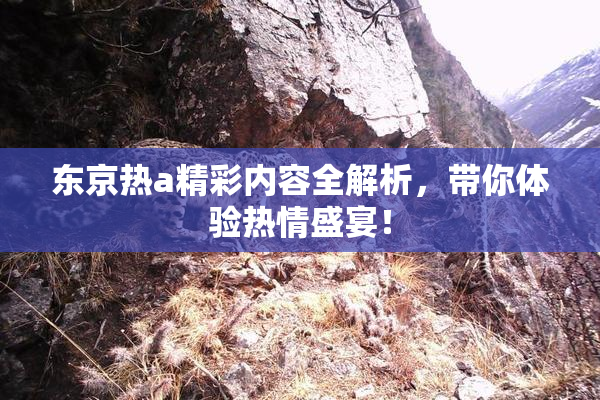 东京热a精彩内容全解析，带你体验热情盛宴！