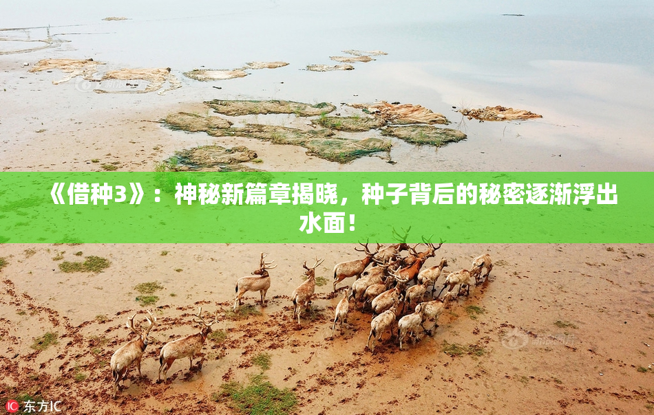 《借种3》：神秘新篇章揭晓，种子背后的秘密逐渐浮出水面！
