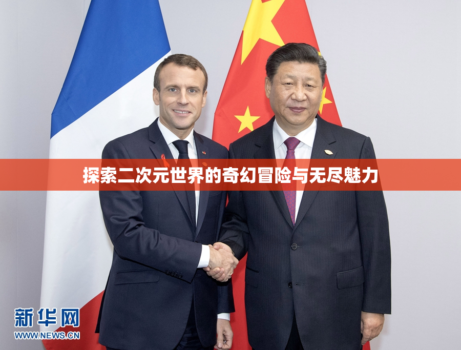探索二次元世界的奇幻冒险与无尽魅力