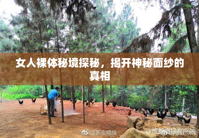 女人裸体秘境探秘，揭开神秘面纱的真相