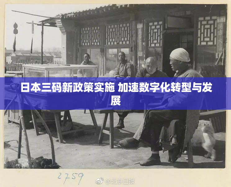 日本三码新政策实施 加速数字化转型与发展