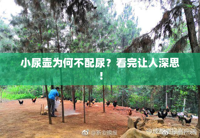 小尿壶为何不配尿？看完让人深思！