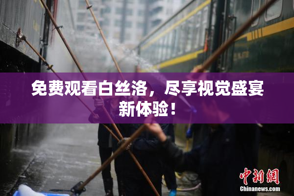 免费观看白丝洛，尽享视觉盛宴新体验！