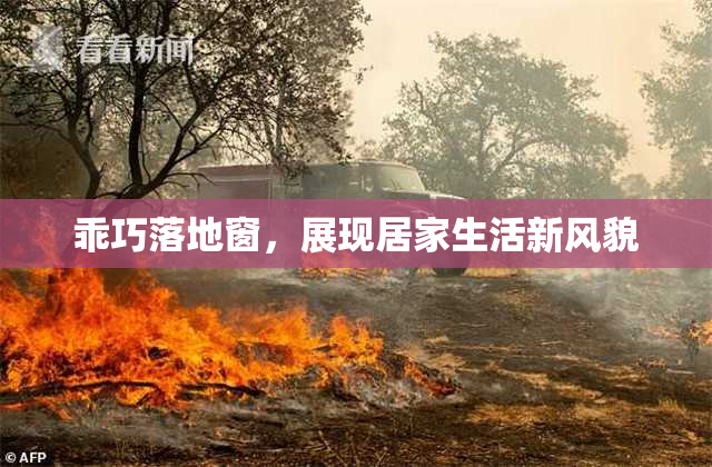 乖巧落地窗，展现居家生活新风貌