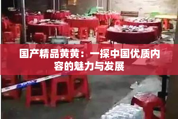 国产精品黄黄：一探中国优质内容的魅力与发展