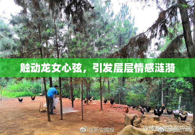 触动龙女心弦，引发层层情感涟漪