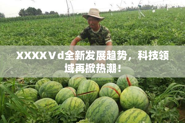 XXXXⅤd全新发展趋势，科技领域再掀热潮！