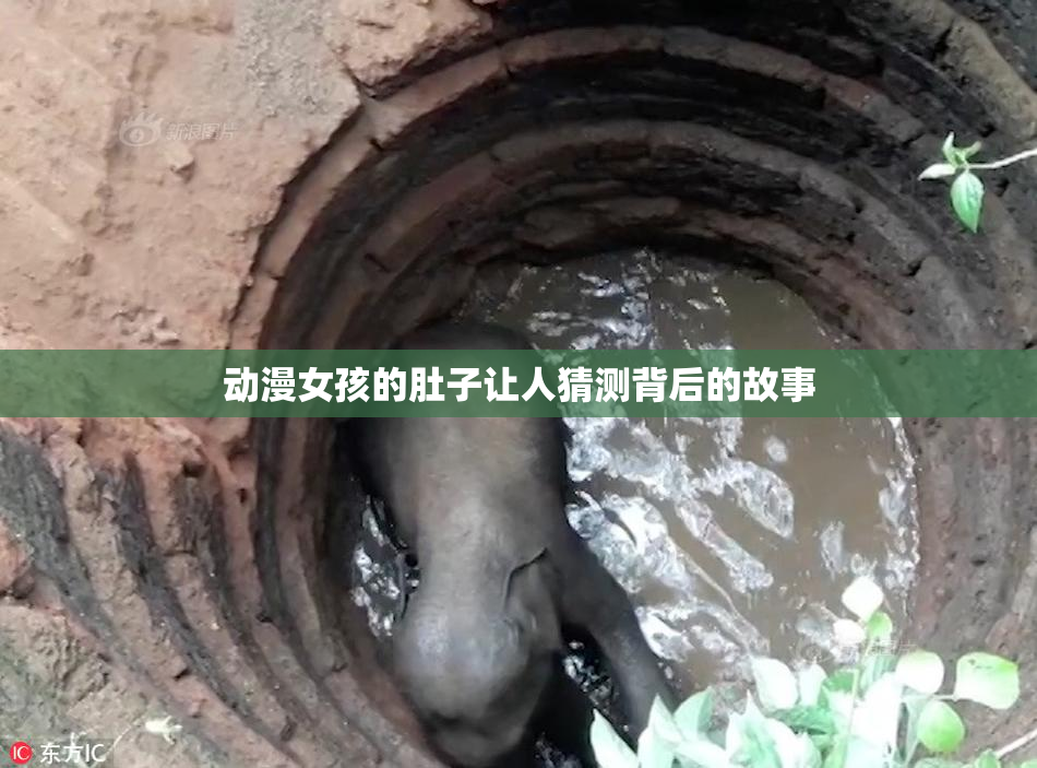 动漫女孩的肚子让人猜测背后的故事