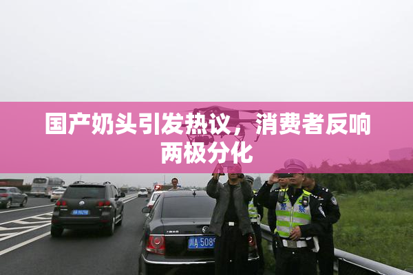 国产奶头引发热议，消费者反响两极分化