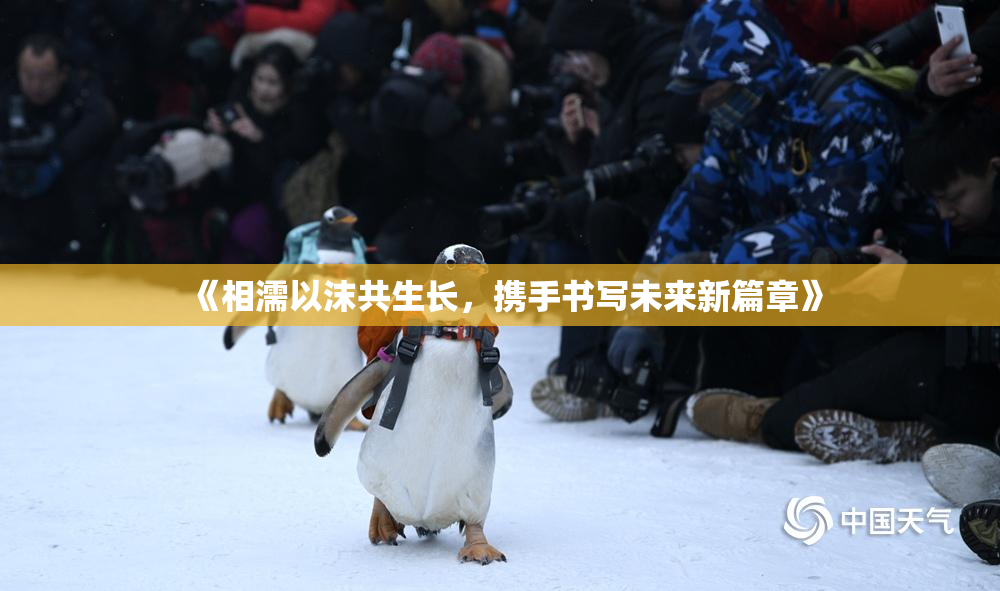 《相濡以沫共生长，携手书写未来新篇章》