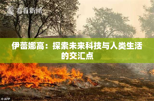 伊蕾娜高：探索未来科技与人类生活的交汇点