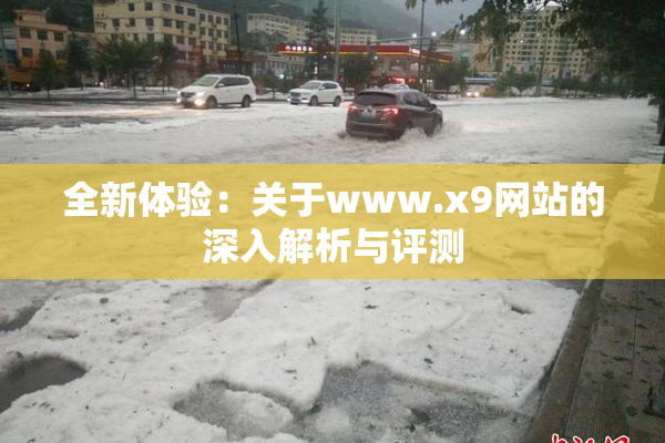 全新体验：关于www.x9网站的深入解析与评测