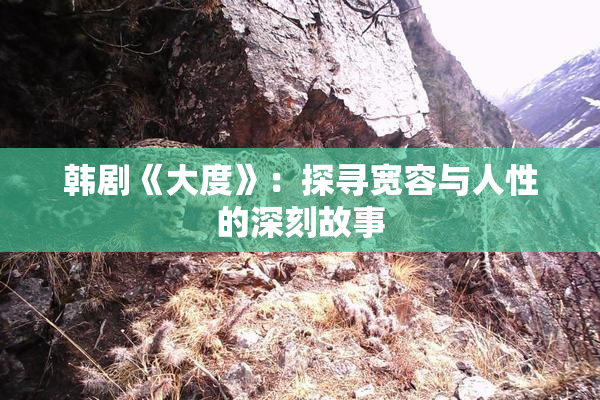 韩剧《大度》：探寻宽容与人性的深刻故事