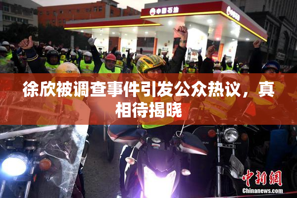 徐欣被调查事件引发公众热议，真相待揭晓