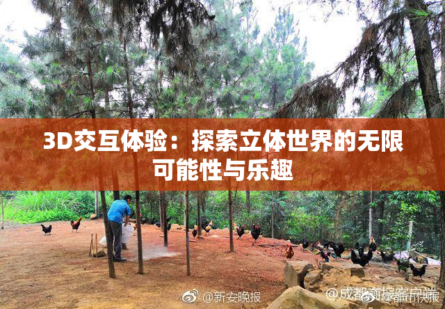 3D交互体验：探索立体世界的无限可能性与乐趣