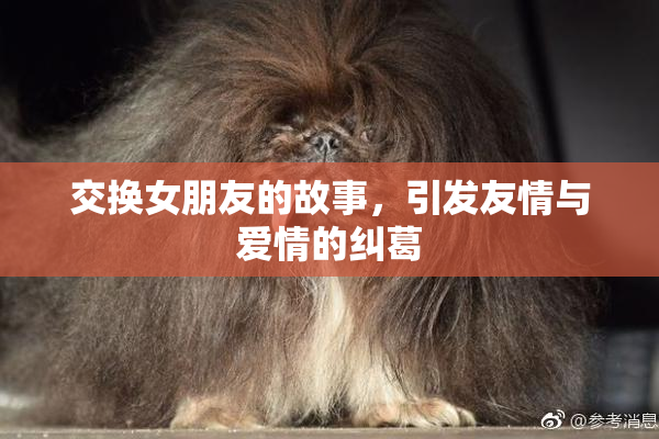 交换女朋友的故事，引发友情与爱情的纠葛