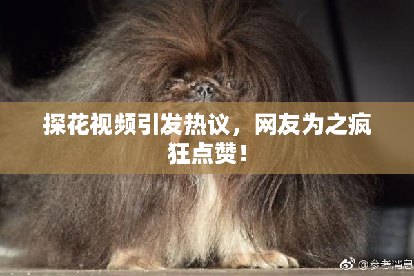 探花视频引发热议，网友为之疯狂点赞！