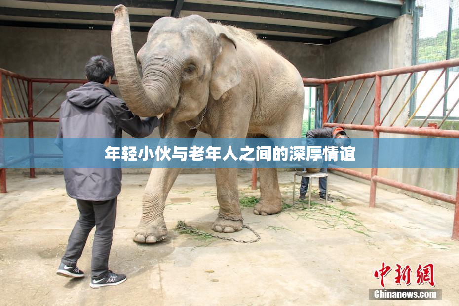 年轻小伙与老年人之间的深厚情谊