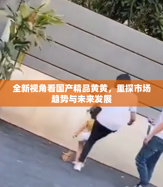 全新视角看国产精品黄黄，重探市场趋势与未来发展