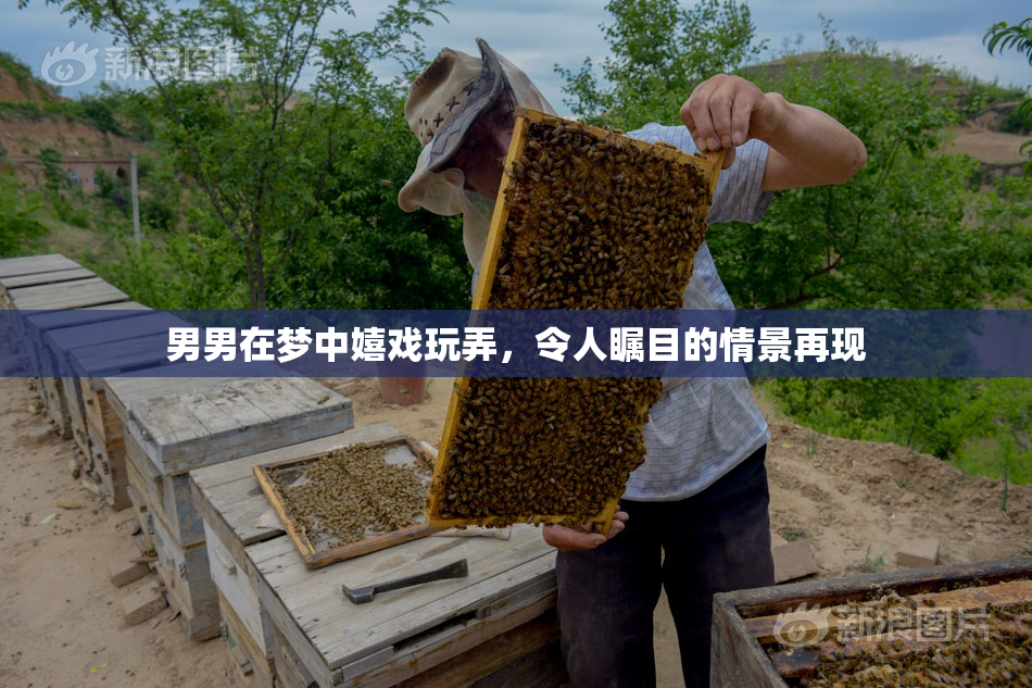 男男在梦中嬉戏玩弄，令人瞩目的情景再现
