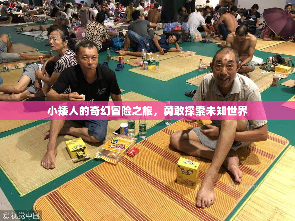 小矮人的奇幻冒险之旅，勇敢探索未知世界